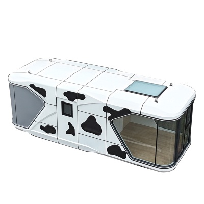 Guangdong manufacturer's space capsule custom-made mobile homestay aluminum profile processing Apple Warehouse Hotel space capsule camping room