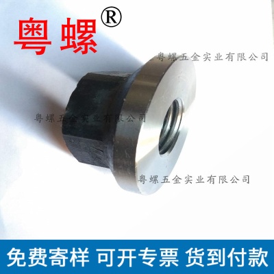 Manufacturer Oxidized Black Belt Pad Hexagonal Nut M42 High Strength Belt Pad Nut Flange Face Pressure Plate Mother