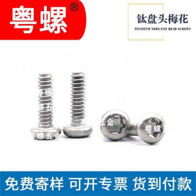 Hangzhou manufacturer M2 M2.5 titanium round head disc head plum blossom groove screw inner plum blossom titanium screw custom machine screw