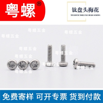 Hangzhou manufacturer M2 M2.5 titanium round head disc head plum blossom groove screw inner plum blossom titanium screw custom machine screw