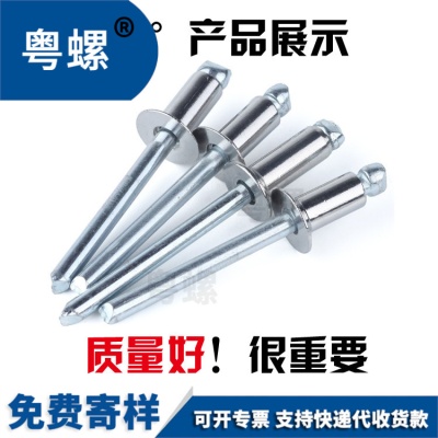 304 all stainless steel closed round head blind rivet GB12615 closed round head rivet