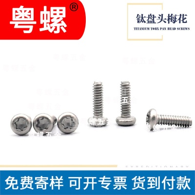 Hangzhou manufacturer M2 M2.5 titanium round head disc head plum blossom groove screw inner plum blossom titanium screw custom machine screw