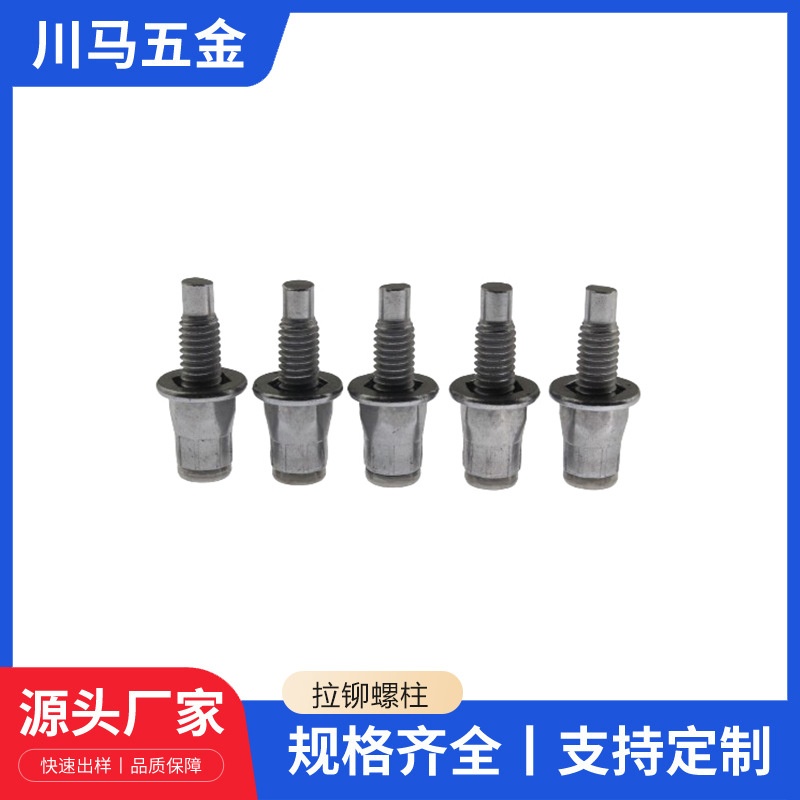 304 stainless steel rivet nut car battery box steel rivet stud stainless steel flat head hexagonal rivet bolt