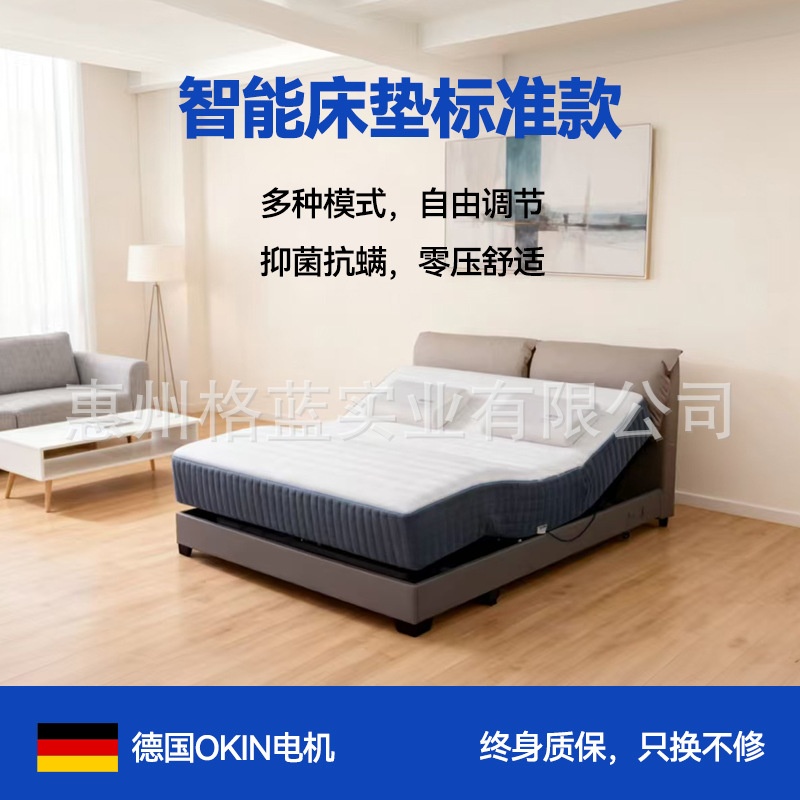 Smart bed electric bed multifunctional modern simple bedroom new high-end mattress memory cotton
