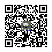 Product QR code