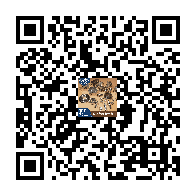 Product QR code