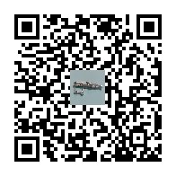 Product QR code