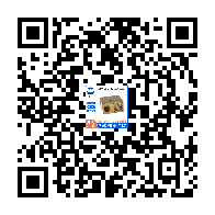 Product QR code